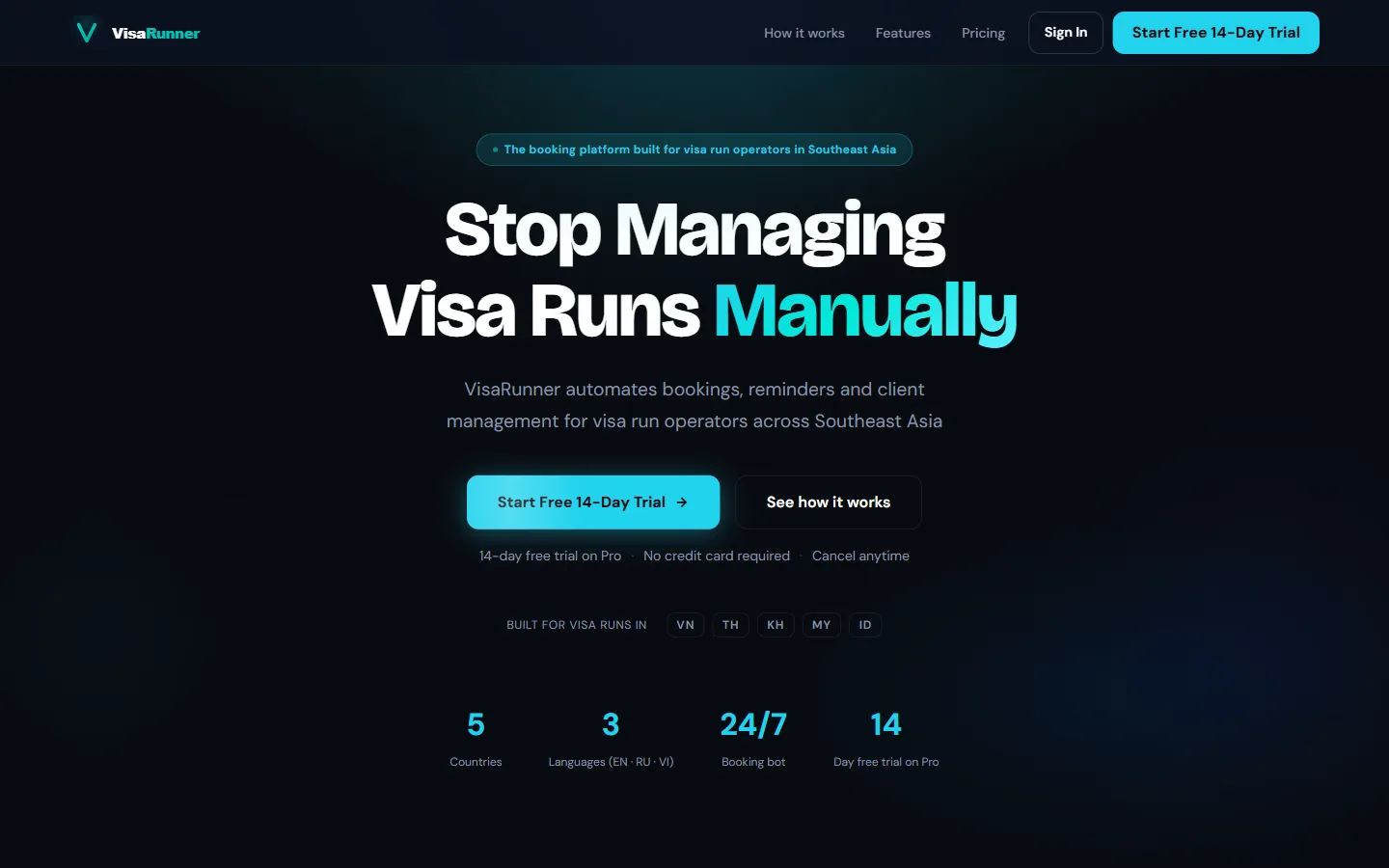 VisaRunner - разработка INSITE